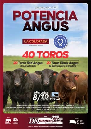 Potencia Angus