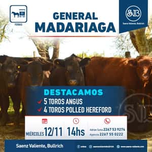 Feria en Gral. Madariaga