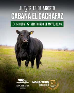 El Cachafaz