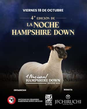 La Noche Hampshire Down
