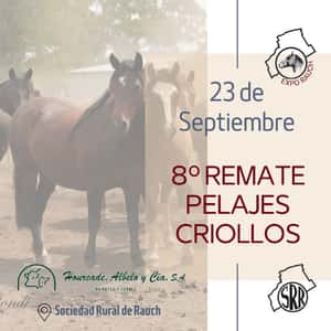 8° Remate Pelajes Criollos 