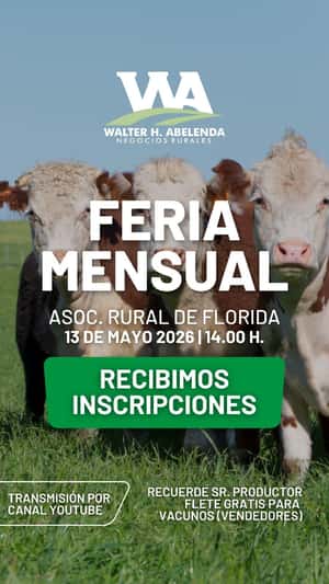Feria Mensual