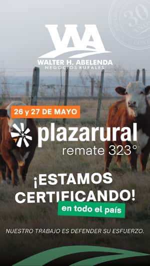 323º remate Plaza Rural