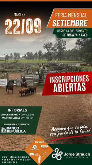 Feria mensual - Jorge Strauch