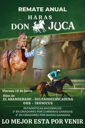 Haras Don Juca