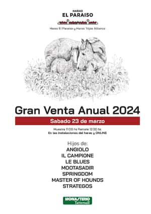 Gran Venta Anual 2024