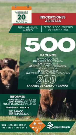 Feria Mensual - Jorge Strauch