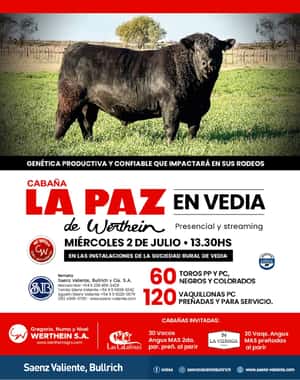 La Paz de Werthein
