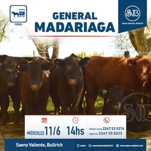 Feria en Gral. Madariaga