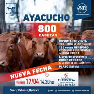 Feria en Ayacucho