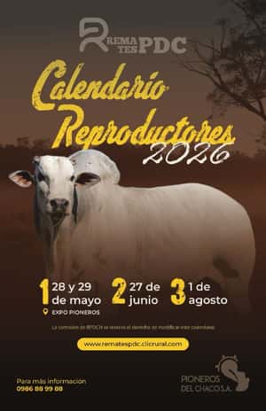 Pioneros del Chaco SA