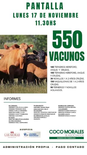 Imagen Pantalla Coco Morales