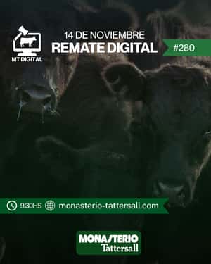  Remate digital 280°
