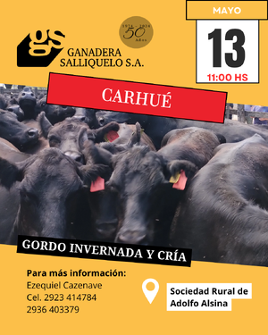 Remate Gordo, Invernada y Cría en Carhué