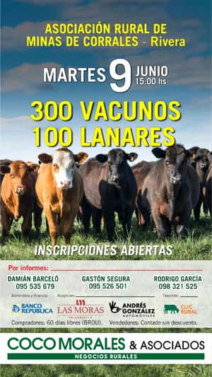 Imagen 09 de Junio - Rural de Minas de Corrales