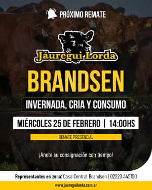 25 de Febrero - Brandsen