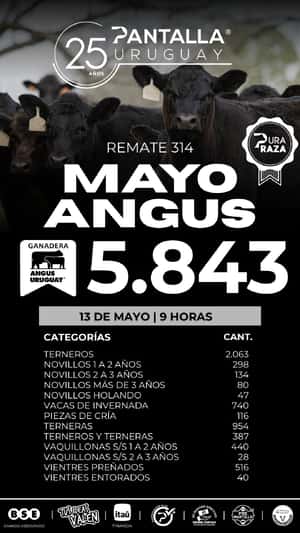 314º remate Pantalla Uruguay