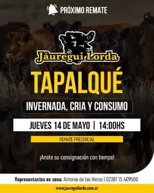14 de Mayo - Tapalqué