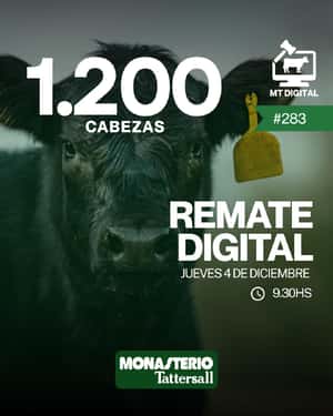 Remate digital 283°
