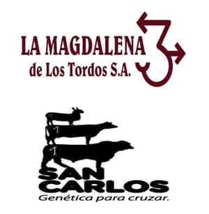 San Carlos y La Magdalena