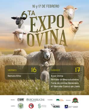 6° Expo Ovina