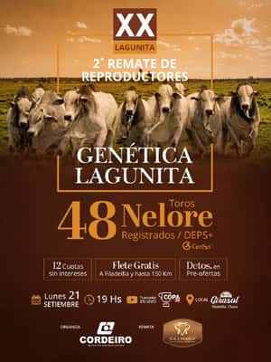2º Remate de Reproductores - Genetica Lagunita