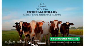 4to remate ENTRE MARTILLOS