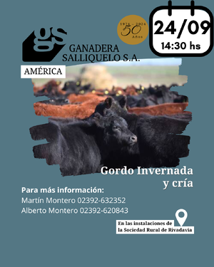 REMATE EN AMÉRICA