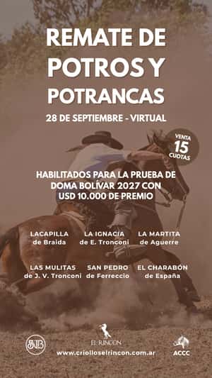 Remate de potros y potrancas, Bolívar