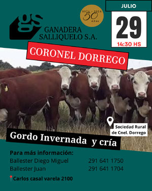 Gordo, invernada y cría en Coronel Dorrego