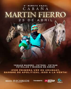 Martín Fierro