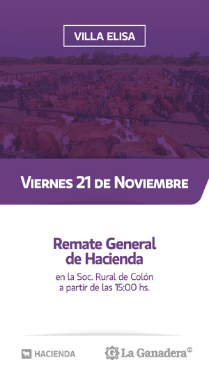 REMATE FERIA EN SOCIEDAD RURAL DE COLON