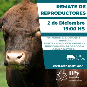 Remate de Reproductores