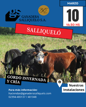 Gordo, Invernada y Cría