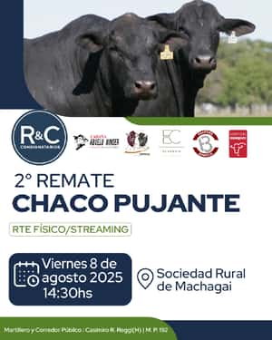 2° REMATE CHACO PUJANTE