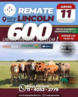 11 DE SEPTIEMBRE - Lincoln