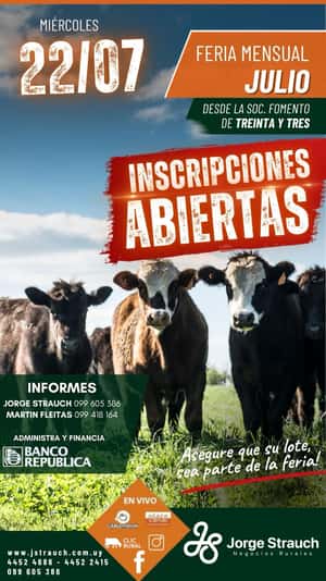 Feria mensual - Jorge Strauch