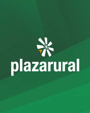 275º remate Plaza Rural