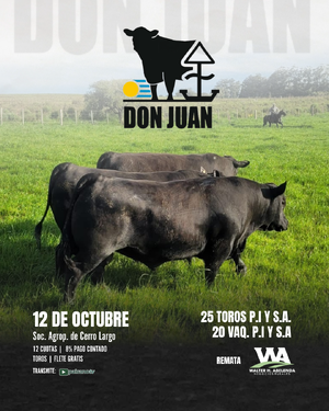 Cabaña Don Juan
