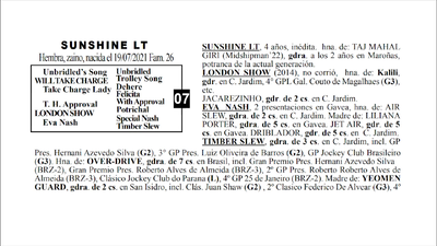 Lote SUNSHINE LT