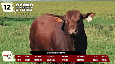 Lote LOTE 12
