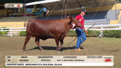 Lote LOTE 4