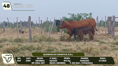 Lote LOTE 48- CAMPO