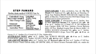 Lote STEP FAWARD