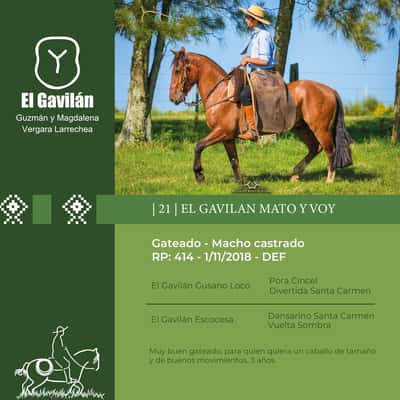 Lote El Gavilán Mato y Voy (RP 414) Cabaña "El Gavilán"