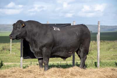 Lote RP 208