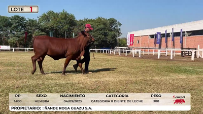 Lote LOTE 1