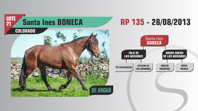 Lote Santa Ines BONECA