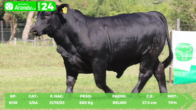 Lote LOTE 24