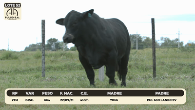 Lote LOTE 52